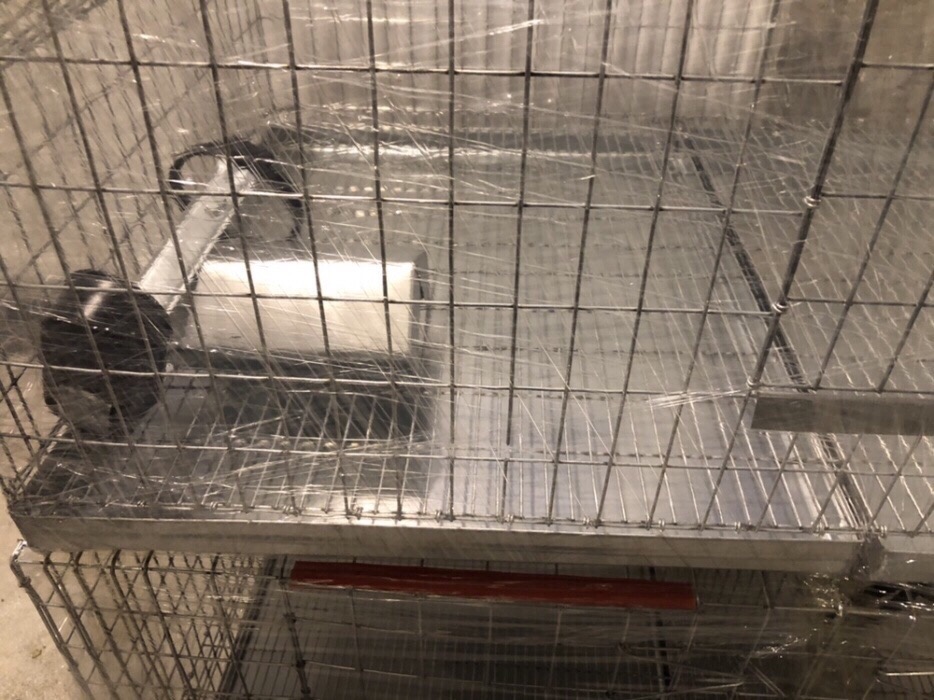 Cusca iepuri tineret 80 cm.    - imagine 3