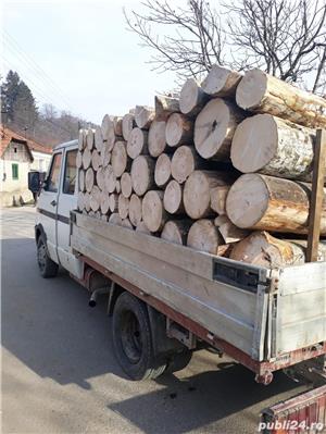 Lemne de foc numai esenta tare in special fagul de padure la 220 metru