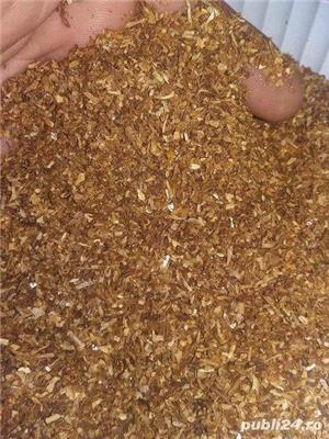 Calitate premium - imagine 3