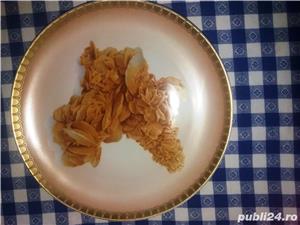 Placa colectie FLORI DE MINA Antique German Furstenberg - imagine 4