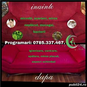 Servicii profesionale de curatare si igienizare tapiterii si covoare 