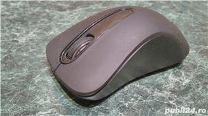 Mouse Canyon CNE-CMSW2, USB, Black
