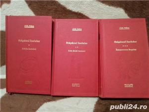 Stapanul inelelor-J.R.R.Tolkien (3 vol)