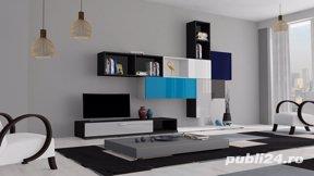 Mester prioceput-demontare-montare-asamblare mobila