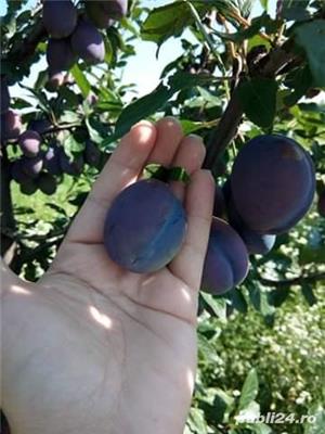 Pălincă naturala din prune de 50   - imagine 7