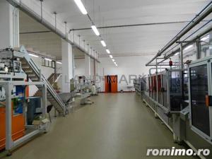 Hala industriala, 1600 mp cu teren 6500 mp , Timisoara Nord Vest - imagine 3