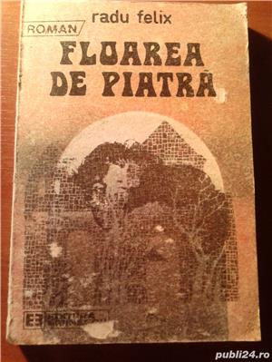 Floarea de piatra de Radu Felix