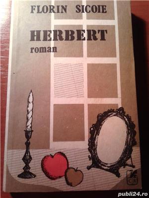 Herbert de Florin Sicoie