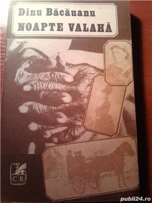 Noapte valaha de Dinu Bacauanu 