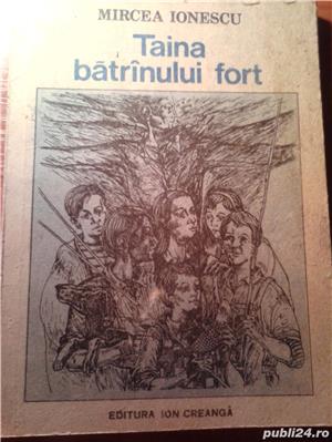 Taina batranului fort de Mircea Ionescu