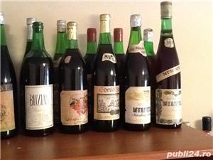 Colectie de vinuri vechi