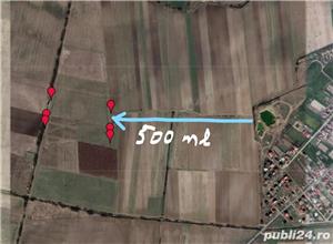 Teren 3,20 Ha intre Mosnita si Bucovat, access din Drumul Boilor si din Bucovat - imagine 5