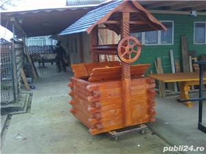 Fantana ornamentala - imagine 7