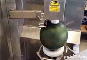 Utilaj pentru curatat coaja dovleci, pepeni, vinete, ananas, telina - imagine 3