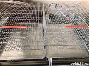 -Cusca de prepelite   130 cm pentru aproximativ 80 de prepelite - imagine 5