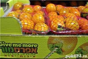 Plase elastice pentru caserole si ladite din plastic, lemn si carton - imagine 11