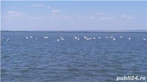 Excursii si trasee Gura Portitei si Delta Dunarii - imagine 7