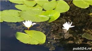 Excursii si trasee Gura Portitei si Delta Dunarii - imagine 6