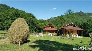 Valea Doftanei-vand  camping ,afacere la cheie - imagine 3