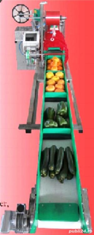 Linie automata de ambalat fructe si legume in plasa tubulara - imagine 2