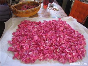 Sirop din petale de trandafiri