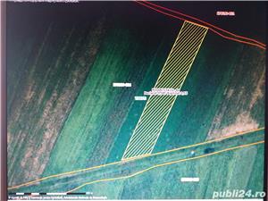 Teren agricol arabil (extravilan) - imagine 3