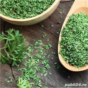 Utilaj pentru taiat plante aromatice si medicinale -verzi si uscate- cutter - imagine 2