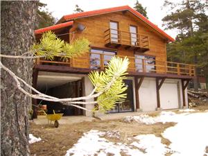 Constructii case de lemn la cheie