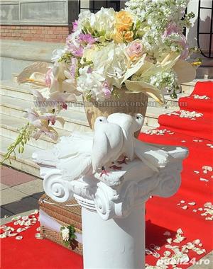 Porumbei albi nunta Constanta - imagine 4