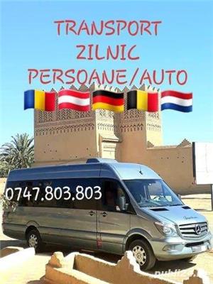Transport persoane*colete*auto platforma Austria-Germania-Belgia-Olanda - imagine 3