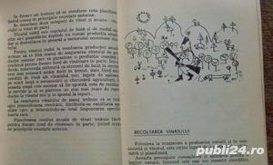  	 Recoltarea si valorificarea vanatului, Mihai Bodea, 1967 - imagine 5