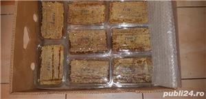 Faguri cu miere poliflora 100 % naturala - imagine 2