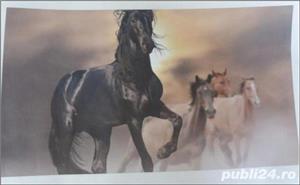 tablouri personalizate A4 (21x30cm) - fara rama pe panza = 25 lei / cu rama = 50lei  - imagine 3