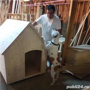 Cu?ca de câine  - imagine 13