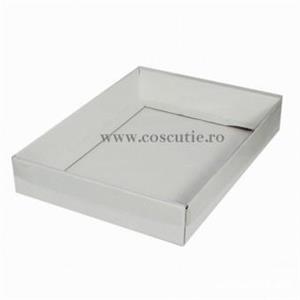 Cutii carton alb cu capac din plastic transparent