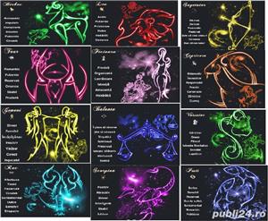 magneti auto, atv, frigider etc in plastic=10lei bucata - imagine 3