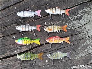 LICHIDARE STOC Naluci articulate pt stiuca 