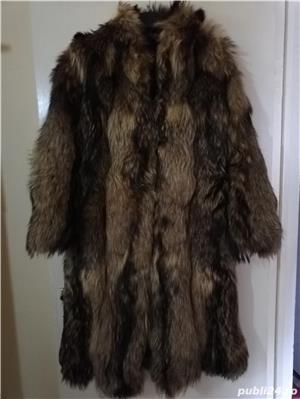 Haina blana enot veritabil