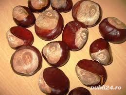 Castane salbatice din toamna anului 2023,ecologice,naturale 12 lei kg - imagine 3