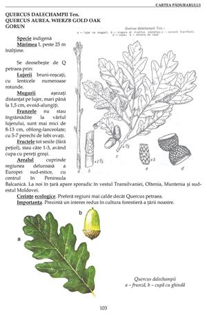 Cartea Pădurarului 2016. Ghid practic al Silvicultorului. - imagine 4