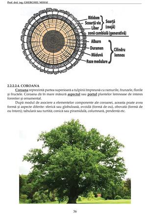 Cartea Pădurarului 2016. Ghid practic al Silvicultorului. - imagine 3