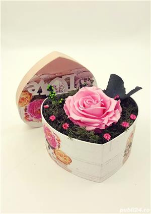 Trandafiri criogenati!