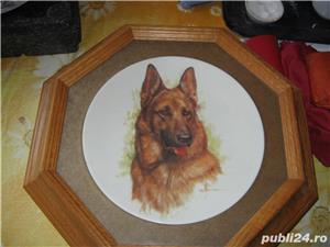 Canada,farfurii originale  pictate,catei,ambalaj original,sistem de fixare perete,rame octogonale 