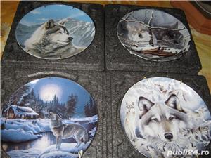Canada,farfurii originale  pictate,catei,ambalaj original,sistem de fixare perete,rame octogonale  - imagine 4