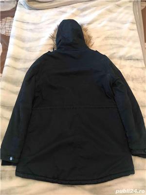 Geci groase de iarna - imagine 2