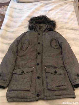 Geci groase de iarna - imagine 3