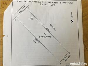 Teren de vanzare extravilan - imagine 2