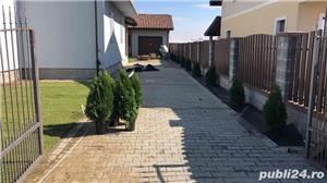 Amenajat spatii verzi,irigatii,montaj pavaj