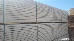 Cherestea molid - imagine 3