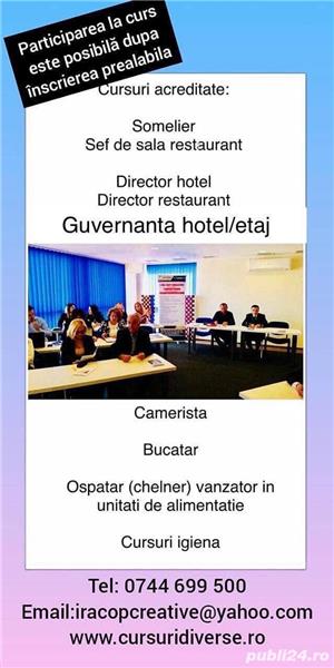Curs Director hotel/Director de restaurant - imagine 2